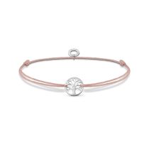 Thomas Sabo Armband LS125-401-19